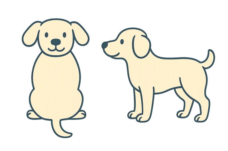 Healthy weight dog illustration