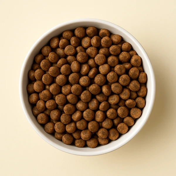 Dry kibble bowl