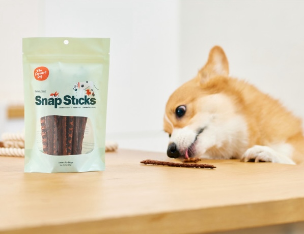 Dog being fed a treat